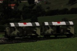 Exact-Train EX20262 - H0 DRG Oppeln GRS G&uuml;terwagen...