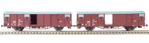 Exact-Train EX20466 - H0 DR 2er-Set G&uuml;terwagen Gbs [1500], 7 Sicken mit Beladung, Epoche Ivb (Zu &ouml;ffnenden T&uuml;ren)