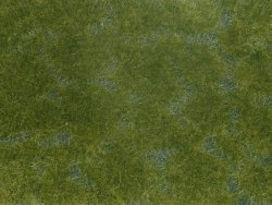 Noch 07252 - Bodendecker-Foliage dunkelgr&uuml;n 12 x 18 cm