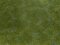 Noch 07252 - Bodendecker-Foliage dunkelgr&uuml;n 12 x 18 cm