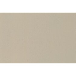 Auhagen 52242 - H0TT Dekorplatten Mauer geputzt beige