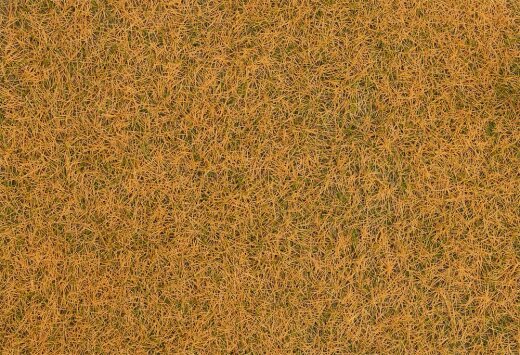 Faller 170210 - H0, TT, N Streufasern Wildgras, verdorrt, 4 mm, 30 g
