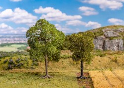 Faller 181801 - H0, TT, N Linde und Elsbeere