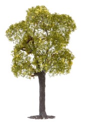 Faller 181801 - H0, TT, N Linde und Elsbeere