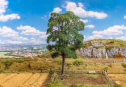 Faller 181850 - H0, TT, N Kastanie