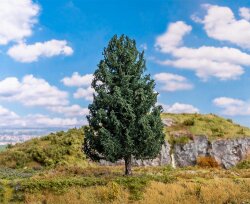 Faller 181852 - H0, TT, N Douglasie