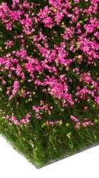 MBRmodel 50-2003 -Blumen rosa bl&uuml;hend