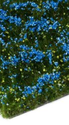 MBRmodel 50-2005 -Blumen blau bl&uuml;hend