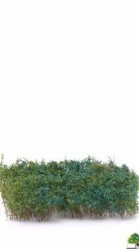MBRmodel 50-5005 -Str&auml;ucher Blau bl&uuml;hend