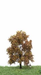 MBRmodel 52-2203 -Eiche Herbst 12-16cm