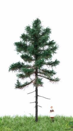 MBRmodel 51-4201 -Wei&szlig;tanne 12-16cm