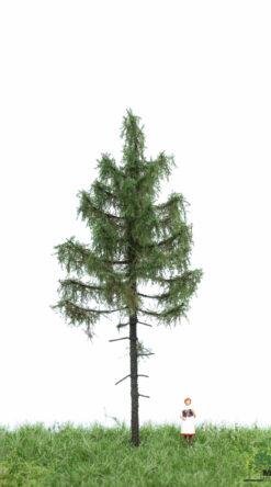 MBRmodel 51-4205 -Waldfichte 12-16cm