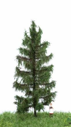 MBRmodel 51-4206 -Waldfichte 12-16cm