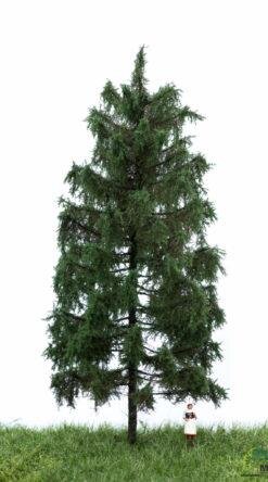 MBRmodel 51-4306 -Waldfichte 18-22cm