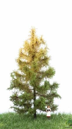 MBRmodel 52-4203 -L&auml;rche Herbst 12-16cm