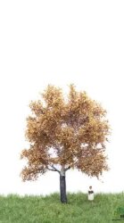 MBRmodel 52-2205 - Silber Pappel Herbst 12 &ndash; 16cm