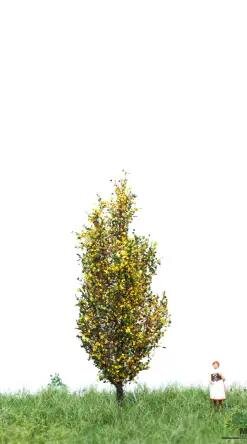 MBRmodel 52-2107 - Italienische Pappel Herbst 6 &ndash; 10cm