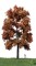 MBRmodel 52-2402 - Buche Herbst 30 &ndash; 40cm