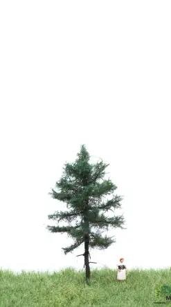 MBRmodel 51-4101 - Wei&szlig;tanne 6-10cm