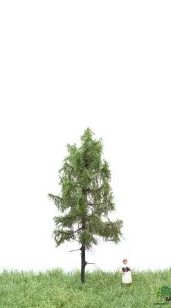 MBRmodel 51-4102 - Europ.Waldl&auml;rche Sommer 6-10cm