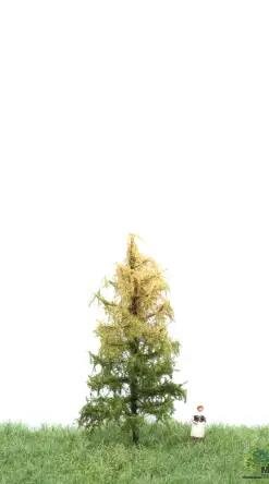 MBRmodel 52-4103 - Europ.L&auml;rche Herbst 6-10 cm