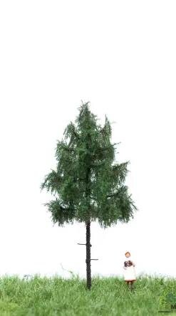 MBRmodel 51-4105 - Waldfichte 6-10cm