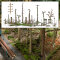Busch 1852 - Totholz-Set H0