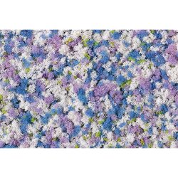 Auhagen 76936 - / Schaumflocken Kornblumen