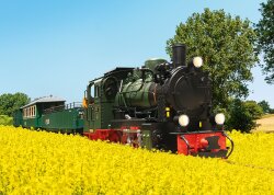 LGB L28006 - Dampflok Mh 53 R&uuml;BB