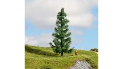 Noch 20193 - G,1,0,H0,H0M,H0E,TT,N,Z Fichte 15 cm hoch