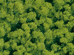 Auhagen 76663 - / Schaumflocken maigr&uuml;n grob