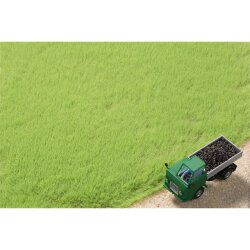 Auhagen 75613 - / Grasfasern hellgr&uuml;n 4,5 mm