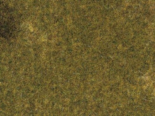 Auhagen 75517 - / 1 Herbstwiesenmatte 35 x 50