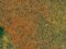 Auhagen 75516 - / 1 Sommerwiesenmatte 35 x 50