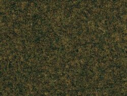 Auhagen 75514 -  1 Waldbodenmatte 35 x 50 cm lose