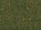 Auhagen 75512 - / 1 Wiesenmatte dunkel 35 x 50