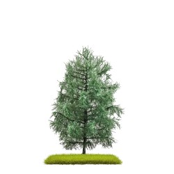 Busch 3802 - Tanne 140 mm H0/TT