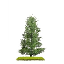 Busch 3806 - Fichte 140 mm H0/TT