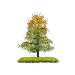 Busch 3815 - 2 L&auml;rchen Sp&auml;tsommer  80 mm H