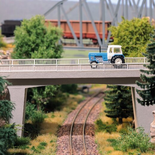 Busch 8842 - Bahn&uuml;berf&uuml;hrung TT