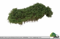 MBRmodel 50-5014 - Str&auml;ucher mittelgr&uuml;n