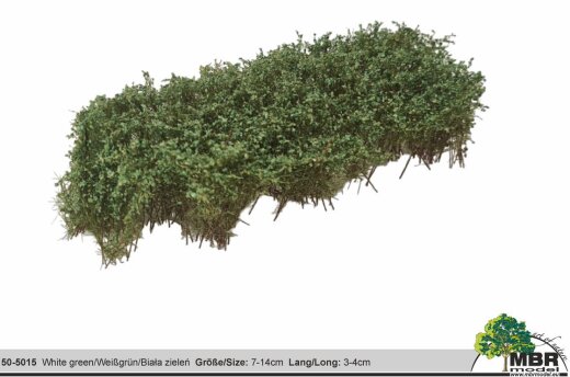 MBRmodel 50-5015 - Str&auml;ucher Wei&szlig;gr&uuml;n