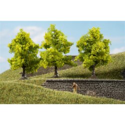 Auhagen 70935 - / Laubb&auml;ume hellgr&uuml;n 7 cm