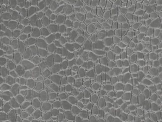 Auhagen 52227 - H0/TT Dekorplatten Naturstein grau