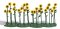 Busch 1240 - 24 Sonnenblumen H0