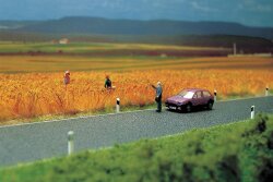 Busch 6034 - H0  TT    Landstra&szlig;e