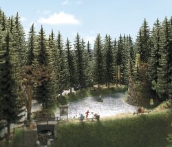 Busch 6136 - H0  TT    2 Hochstammfichten