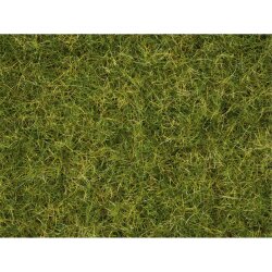 Noch 07072 - Master-Grasmischung...