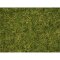 Noch 07072 - Master-Grasmischung &ldquo;Sommerwiese&rdquo; 2,5 bis 6 mm, 50 g