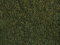 Noch 07292 - Wiesen-Foliage dunkelgr&uuml;n, 20 x 23 cm (Werksseitig Ausverkauft)
